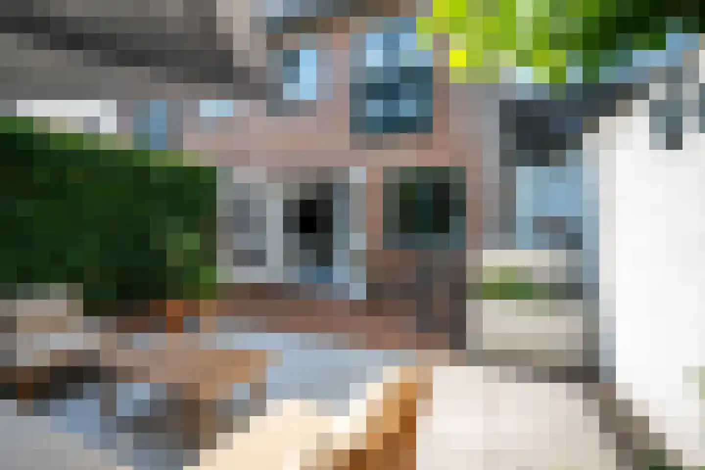 Koestraat 12 Vianen thumbnail 54