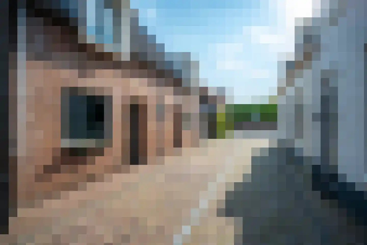 Koestraat 12 Vianen thumbnail 59
