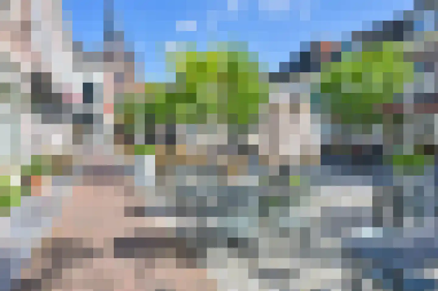 Koestraat 12 Vianen thumbnail 62