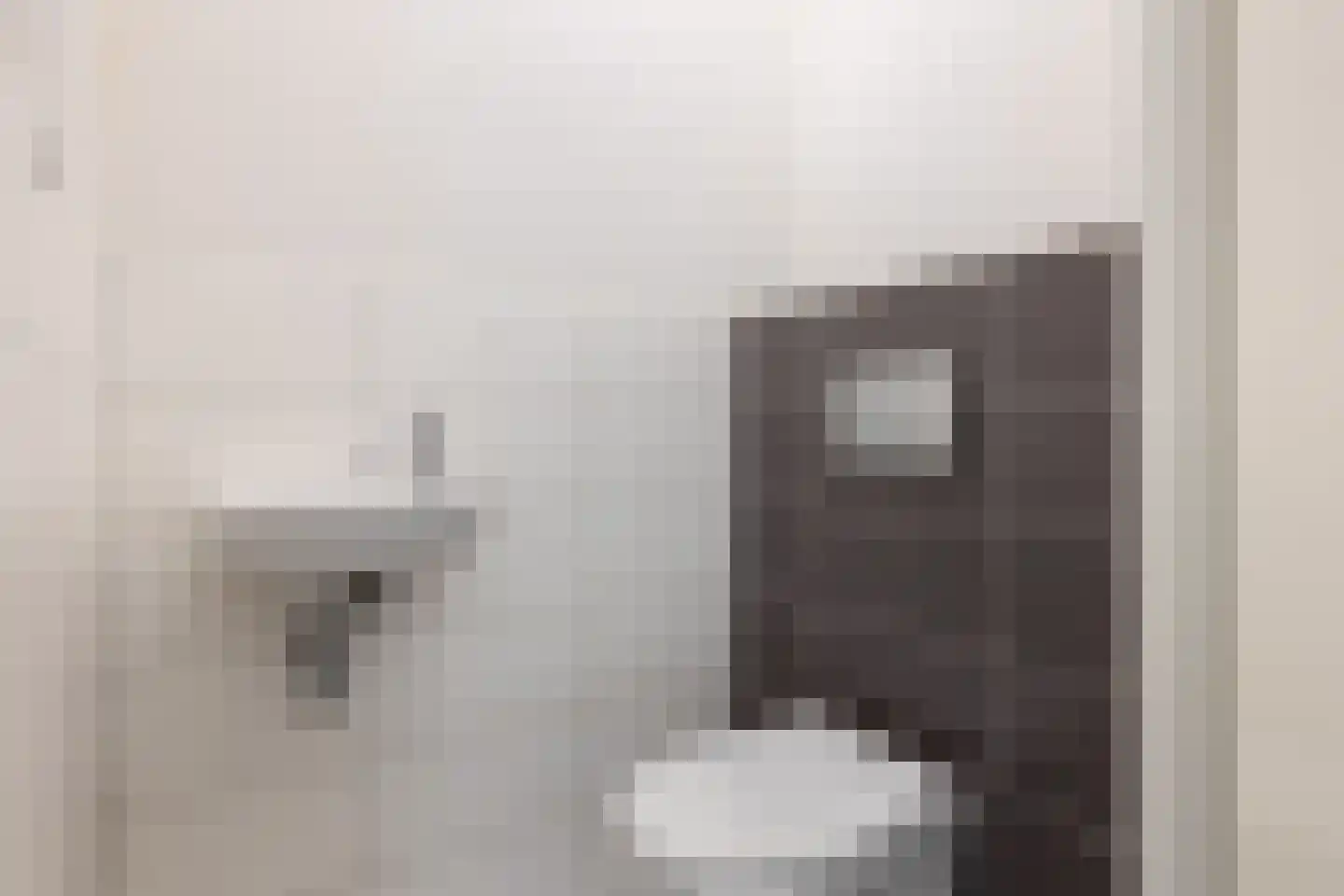 Koestraat 121 f Schoonhoven thumbnail 31