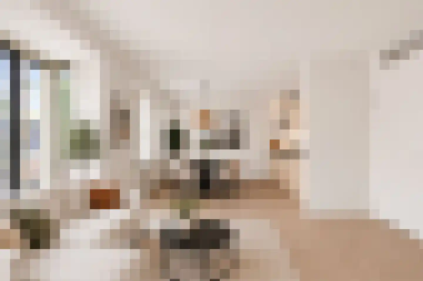 Koestraat 121 n Schoonhoven thumbnail 10