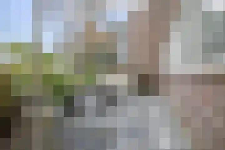 Koestraat 125 Schoonhoven thumbnail 40