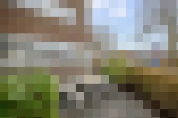 Koestraat 125 Schoonhoven thumbnail 42