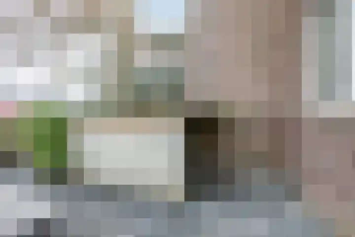 Koestraat 125 Schoonhoven thumbnail 43
