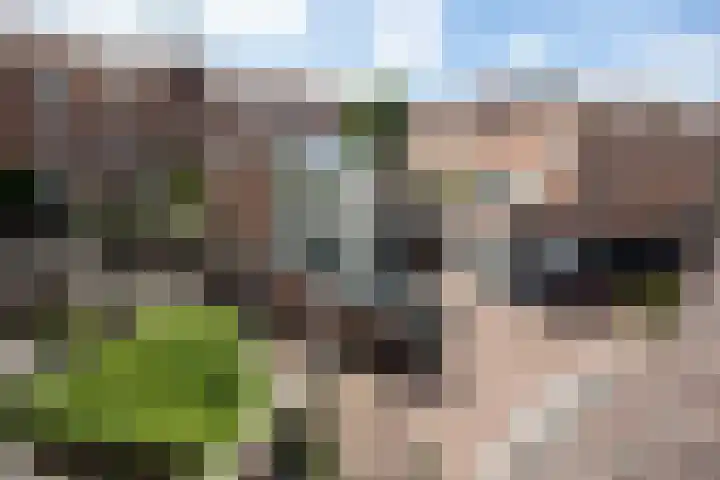 Koestraat 13 D Amersfoort thumbnail 16