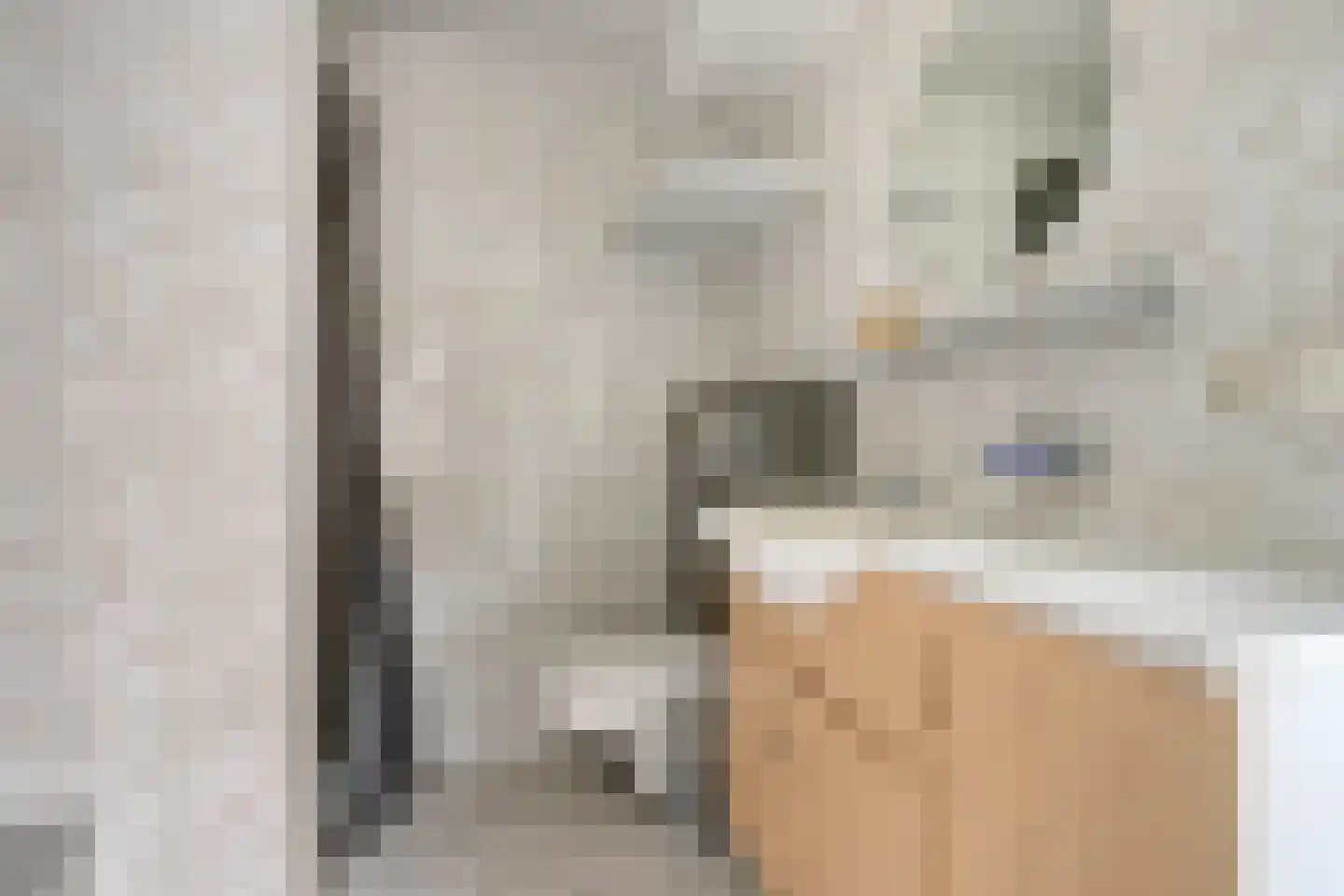 Koestraat 14 Axel thumbnail 20
