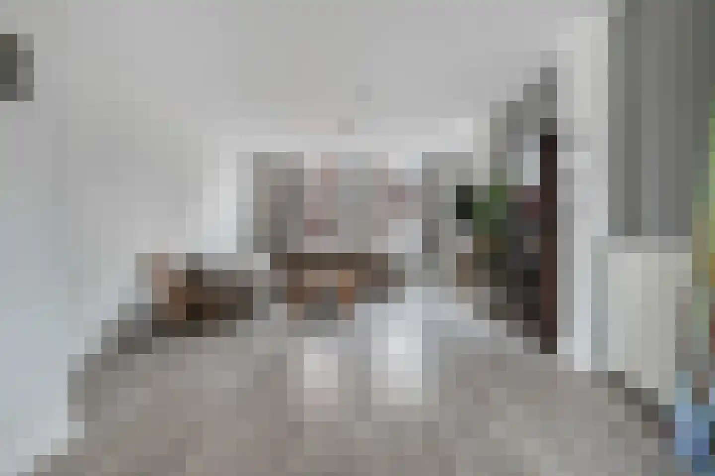 Koestraat 14 Axel thumbnail 7
