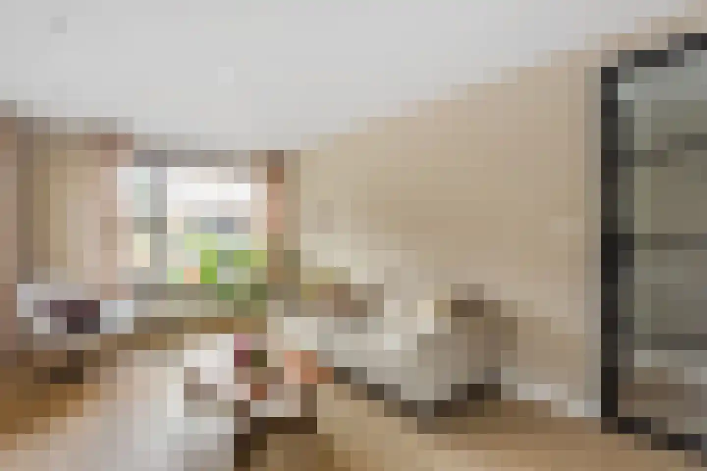 Koestraat 15 a Hellendoorn thumbnail 5