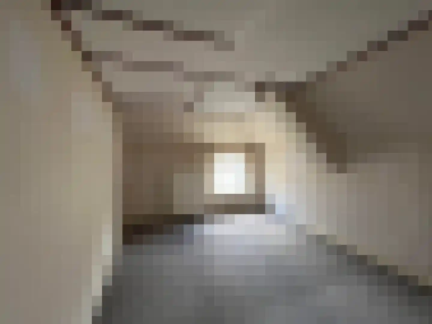 Koestraat 16 Arcen thumbnail 10