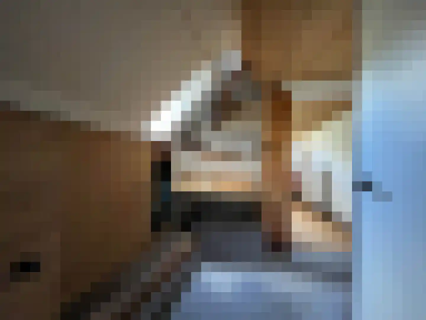 Koestraat 16 Arcen thumbnail 13