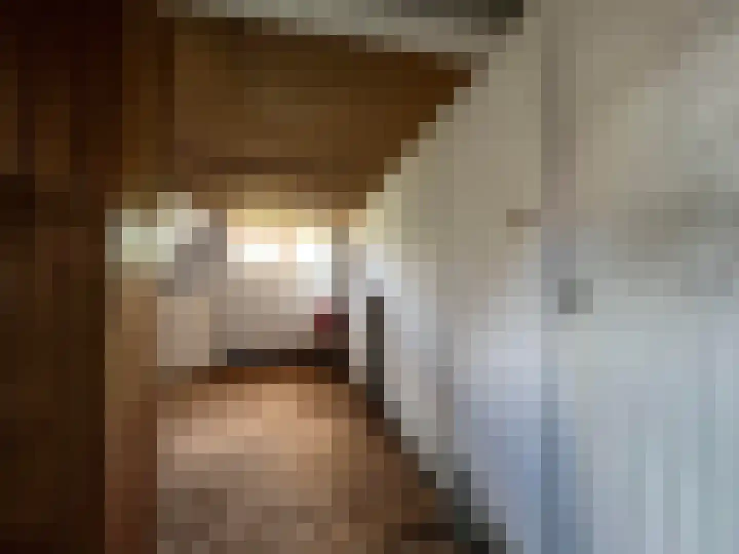 Koestraat 16 Arcen thumbnail 14