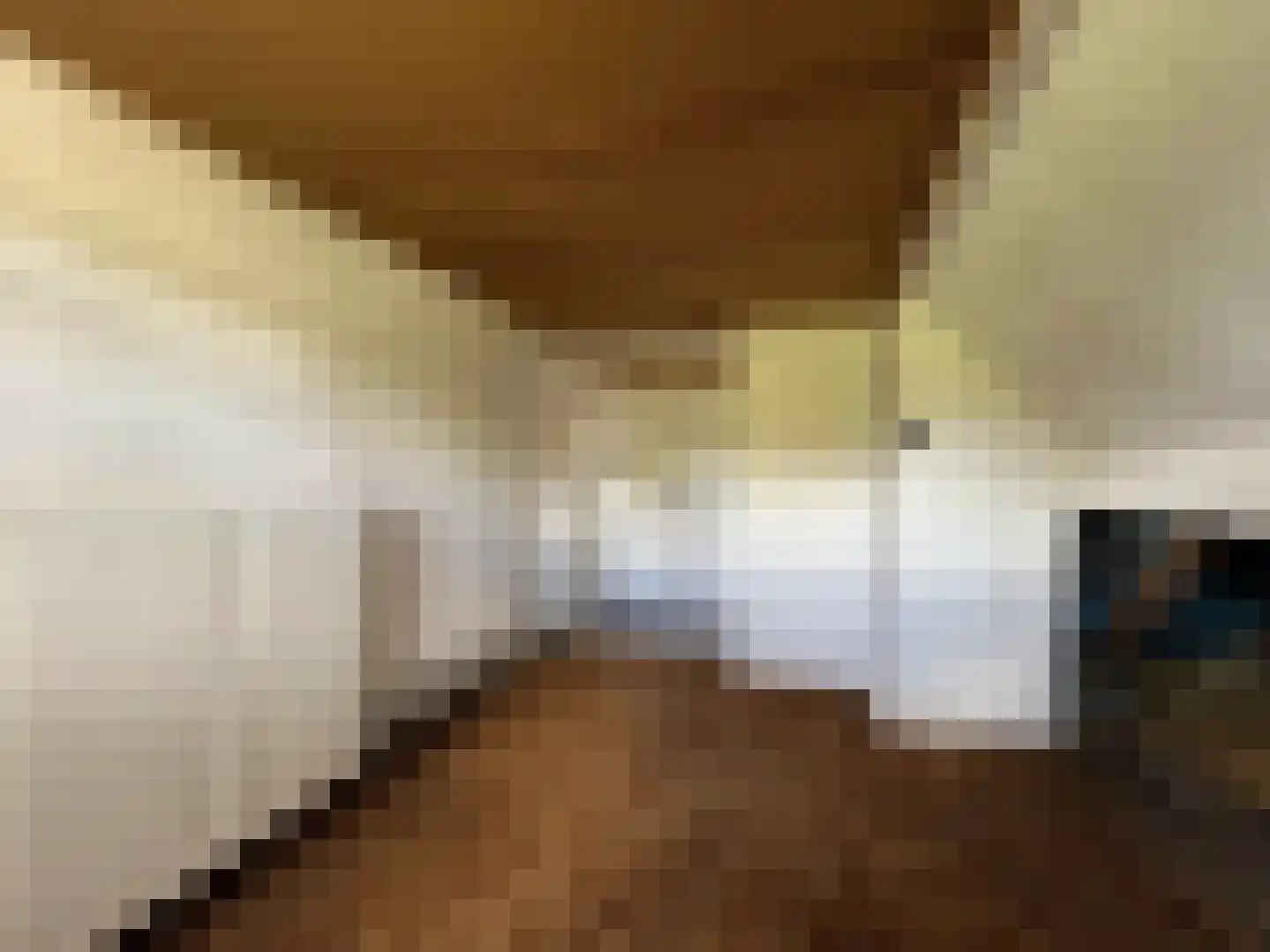 Koestraat 16 Arcen thumbnail 15