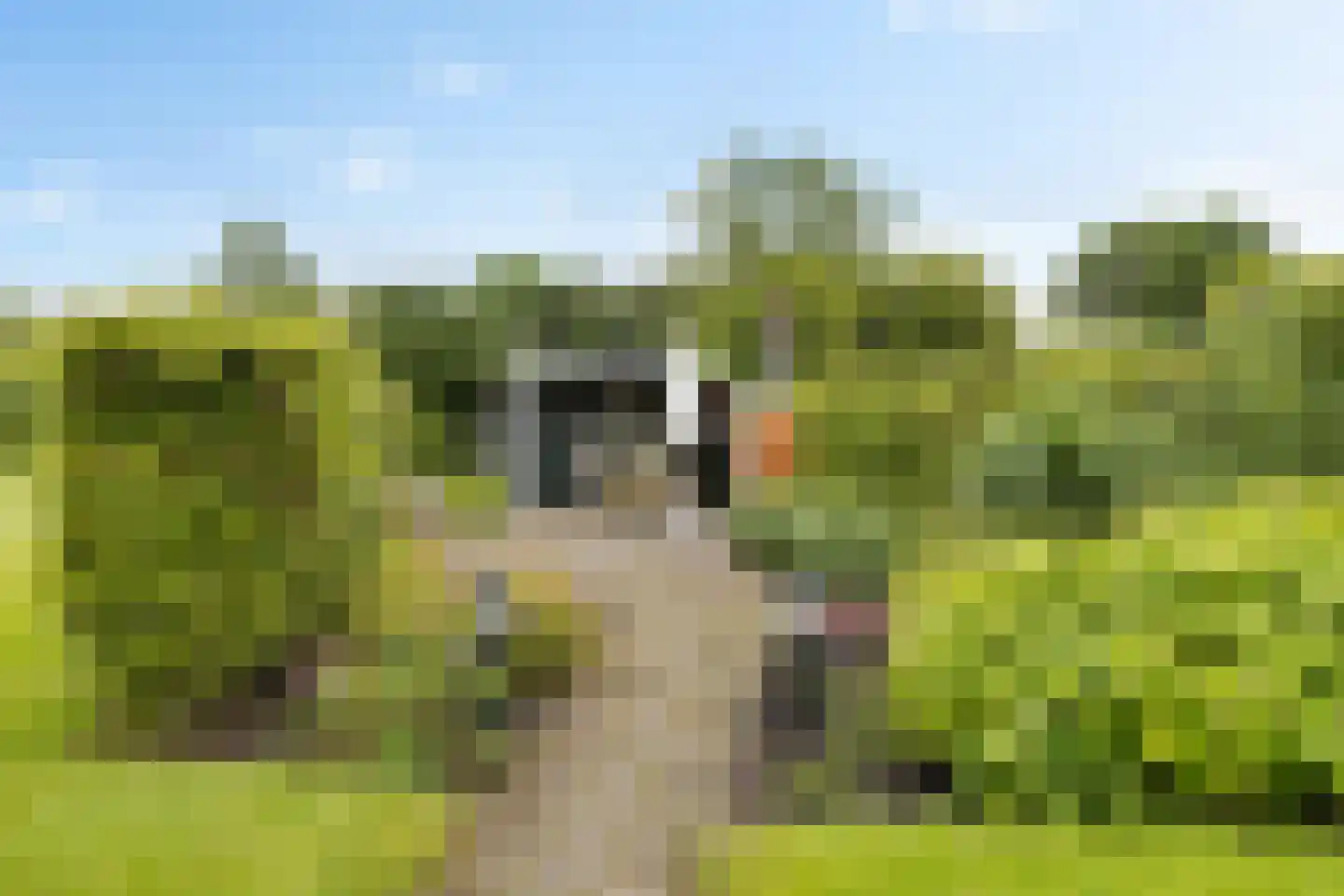 Koestraat 16 Farmsum thumbnail 16