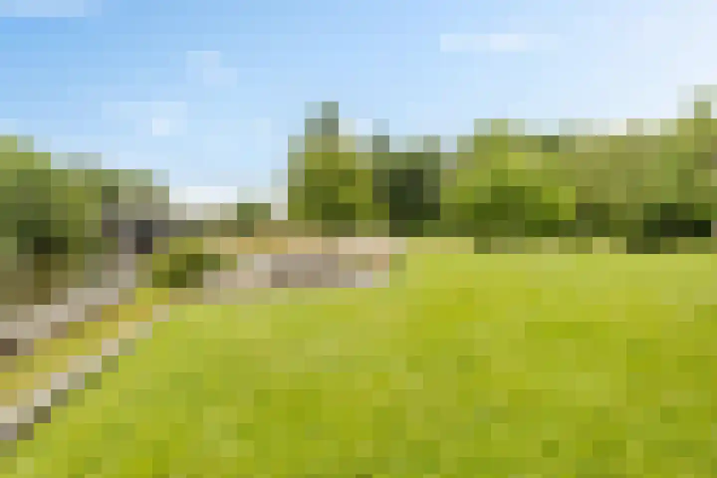 Koestraat 16 Farmsum thumbnail 18