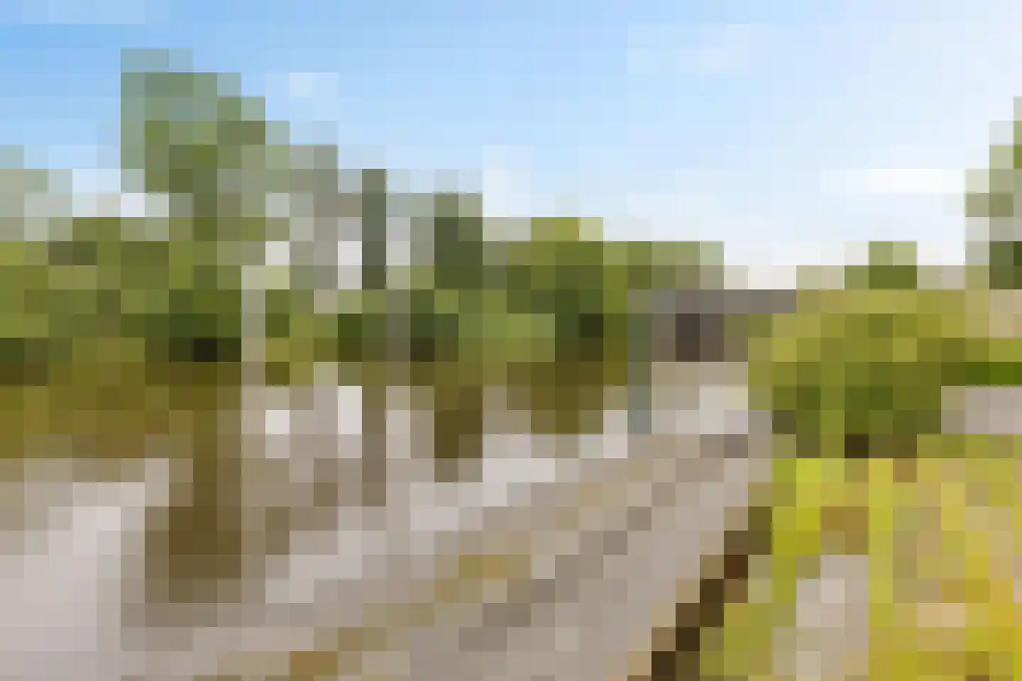 Koestraat 16 Farmsum thumbnail 19