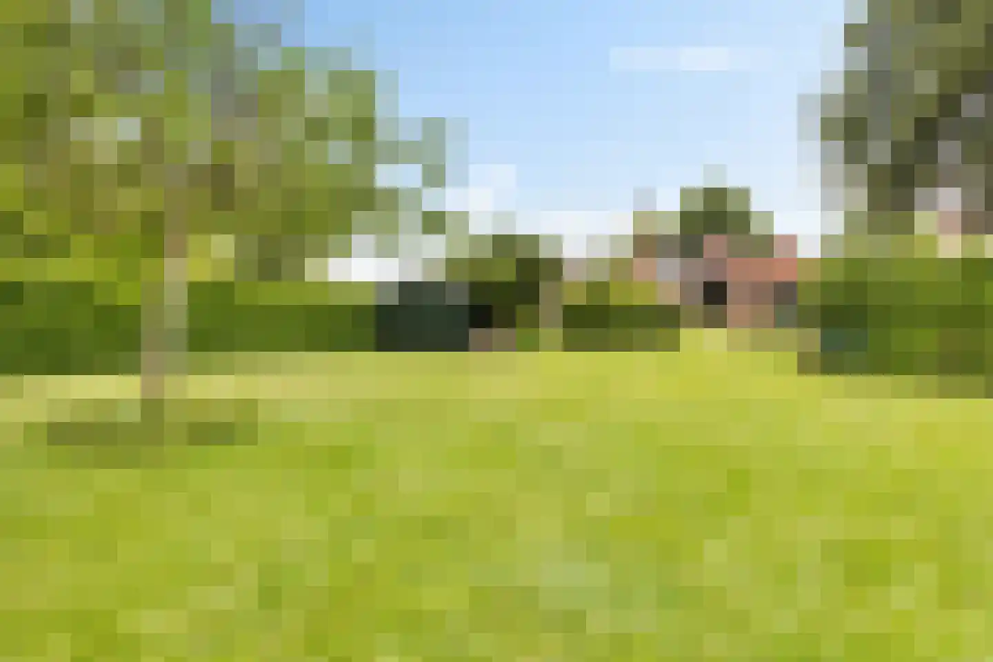 Koestraat 16 Farmsum thumbnail 20