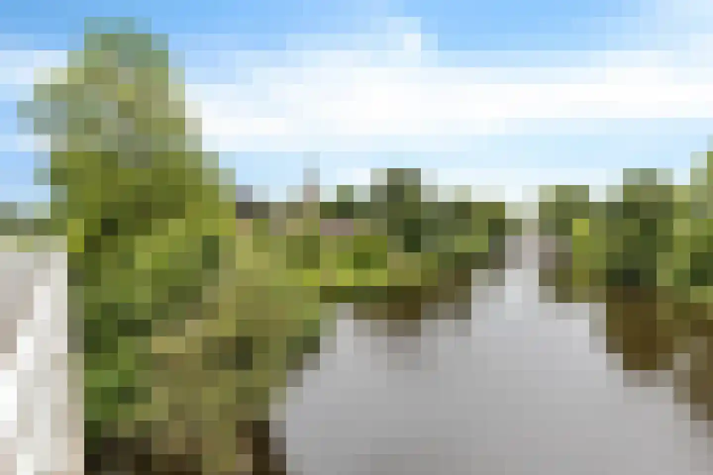 Koestraat 16 Farmsum thumbnail 21