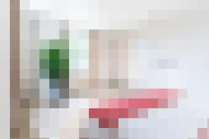 Koestraat 17 Hooge Mierde thumbnail 10