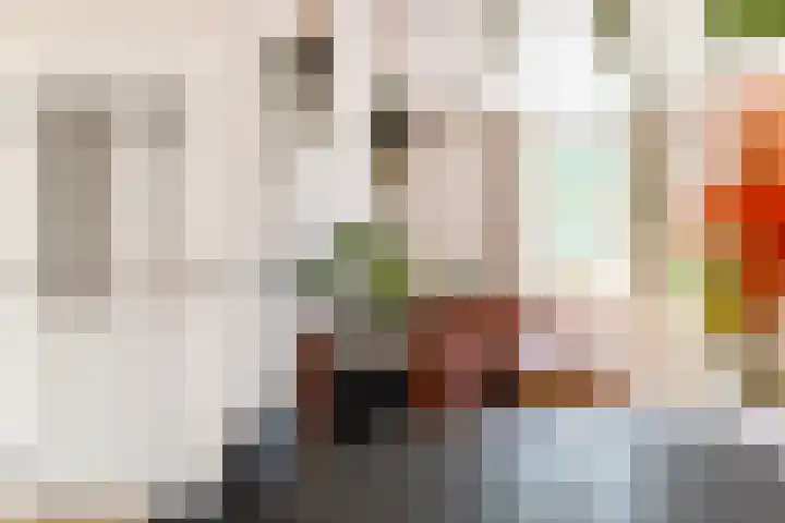 Koestraat 17 Hooge Mierde thumbnail 11