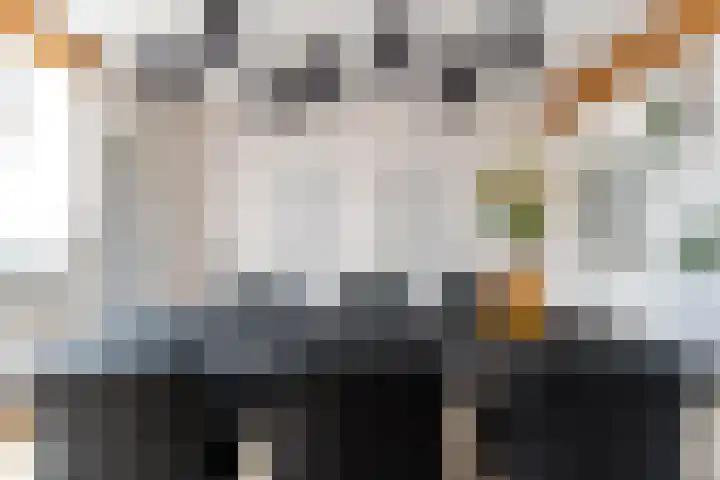 Koestraat 17 Hooge Mierde thumbnail 13