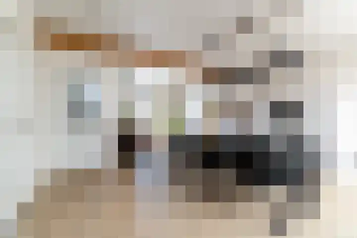 Koestraat 17 Hooge Mierde thumbnail 14