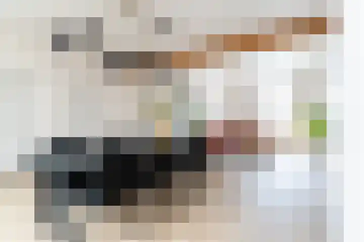 Koestraat 17 Hooge Mierde thumbnail 15