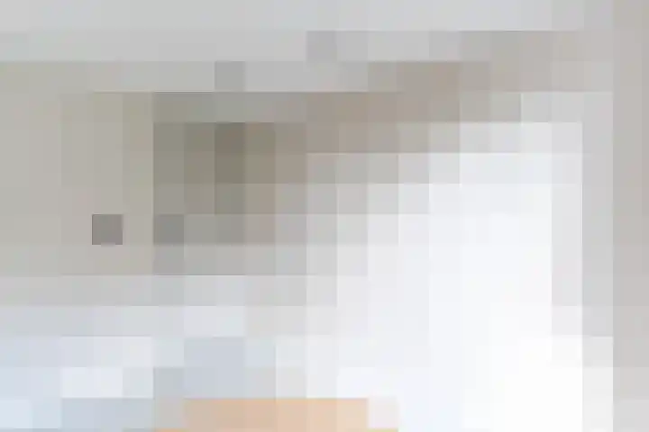 Koestraat 17 Hooge Mierde thumbnail 18