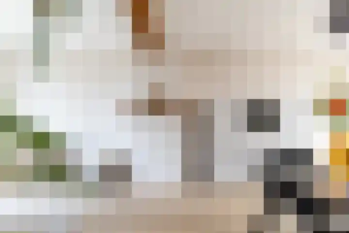 Koestraat 17 Hooge Mierde thumbnail 19