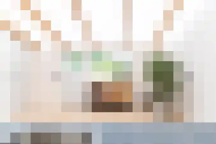 Koestraat 17 Hooge Mierde thumbnail 20