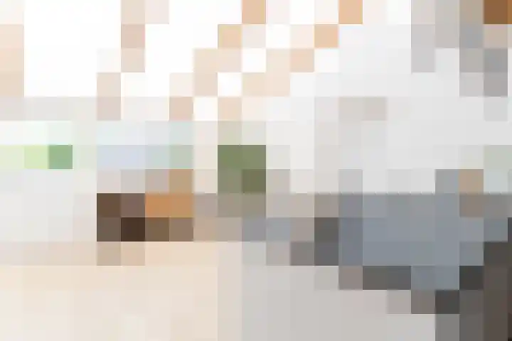 Koestraat 17 Hooge Mierde thumbnail 21