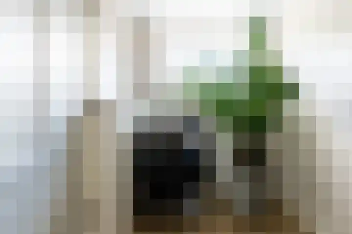 Koestraat 17 Hooge Mierde thumbnail 29