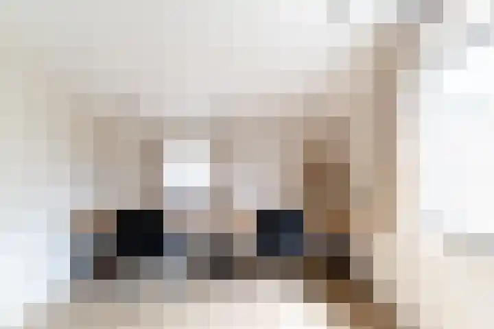 Koestraat 17 Hooge Mierde thumbnail 32
