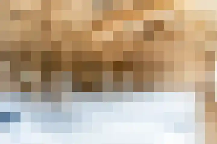 Koestraat 17 Hooge Mierde thumbnail 36