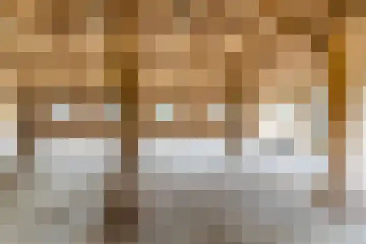 Koestraat 17 Hooge Mierde thumbnail 37