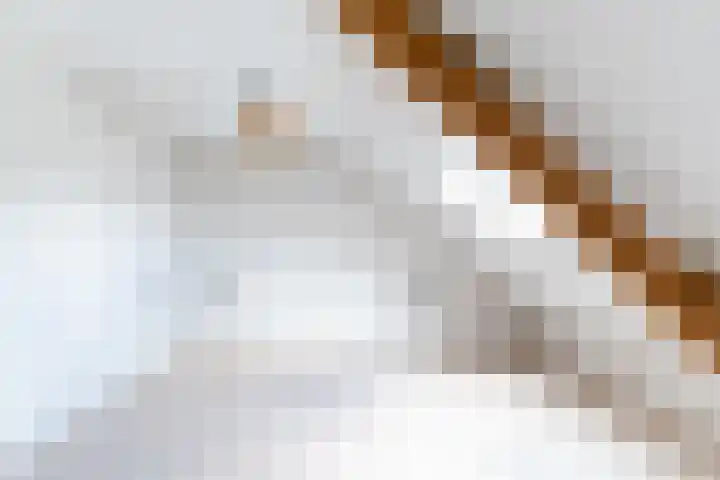 Koestraat 17 Hooge Mierde thumbnail 41
