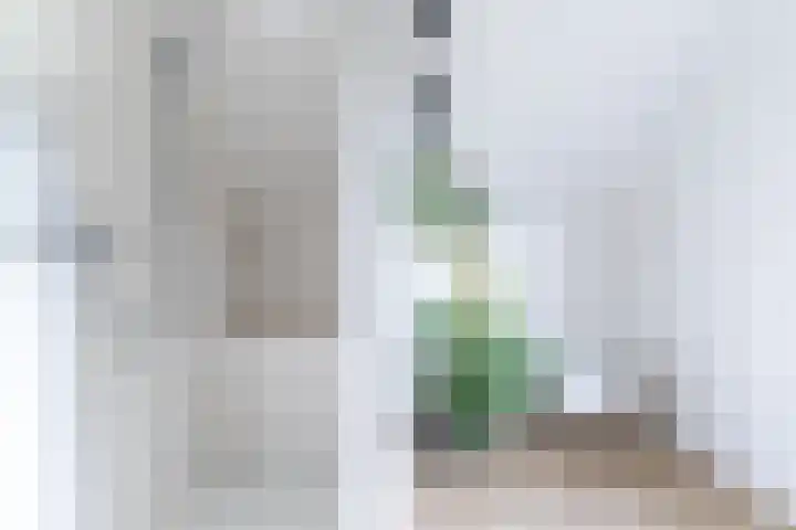 Koestraat 17 Hooge Mierde thumbnail 50