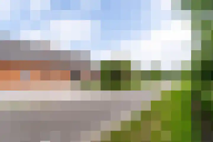 Koestraat 17 Hooge Mierde thumbnail 52