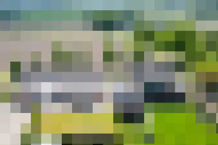 Koestraat 17 Hooge Mierde thumbnail 53