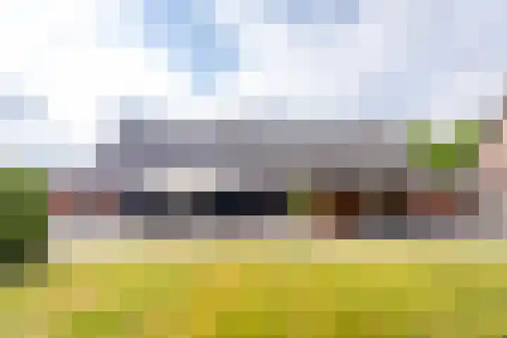 Koestraat 17 Hooge Mierde thumbnail 55