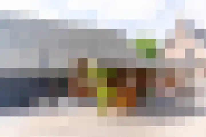 Koestraat 17 Hooge Mierde thumbnail 56