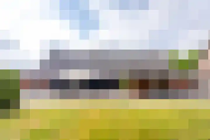 Koestraat 17 Hooge Mierde thumbnail 6