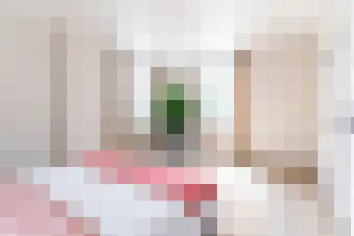 Koestraat 17 Hooge Mierde thumbnail 9