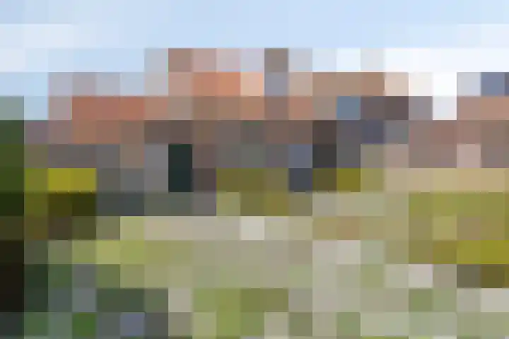 Koestraat 17 Westkapelle thumbnail 24