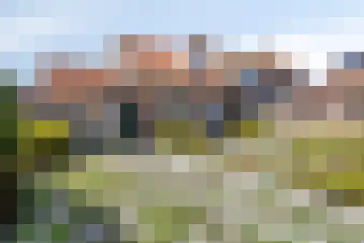 Koestraat 17 Westkapelle thumbnail 4