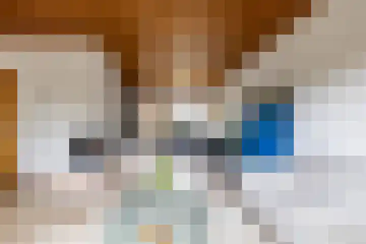 Koestraat 19 Farmsum thumbnail 15