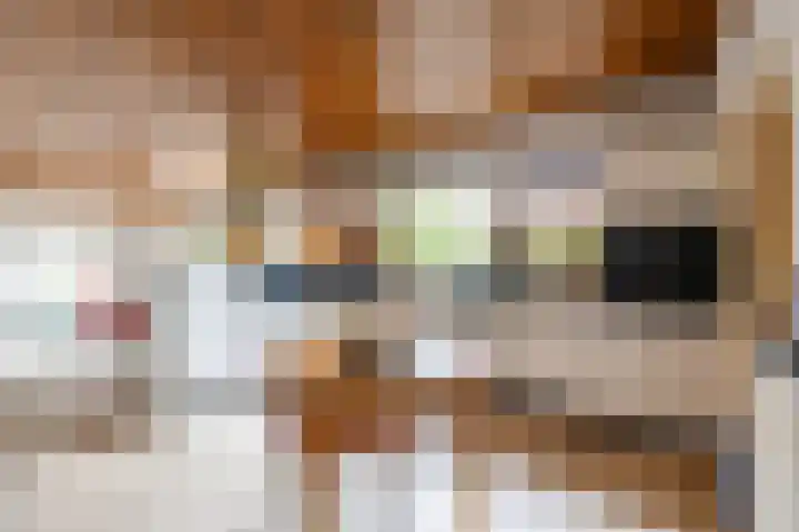 Koestraat 19 Farmsum thumbnail 20