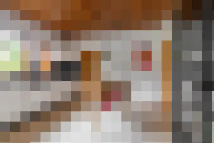 Koestraat 19 Farmsum thumbnail 23