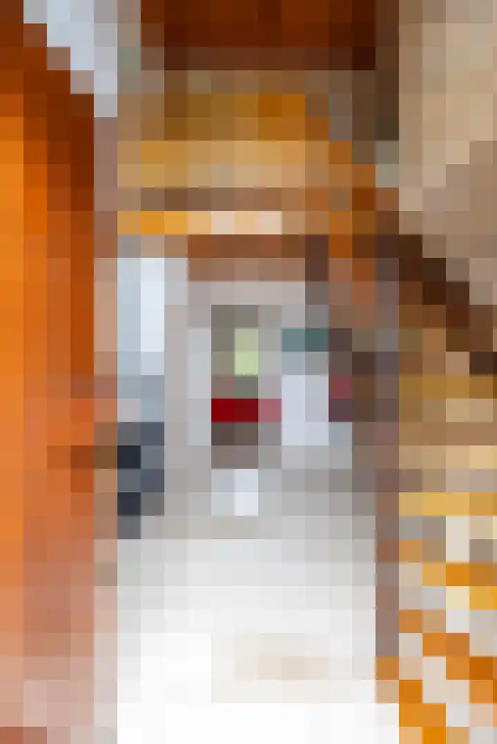 Koestraat 19 Farmsum thumbnail 27