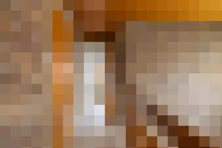 Koestraat 19 Farmsum thumbnail 33