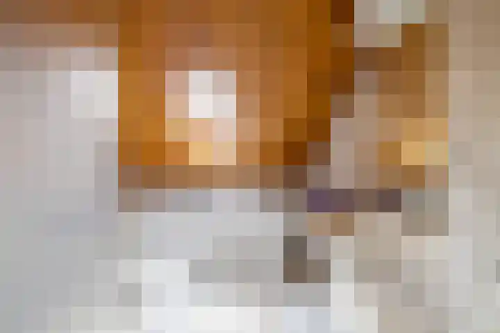 Koestraat 19 Farmsum thumbnail 36